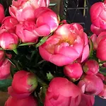 Boutique Hotel de la Place des Vosges